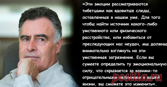 «Тибетцы выделяют семь эмоций, которые порождают невезение и болезни». Кристофер Хансард о том, как тибетцы устраняют отрицательные эмоции | Просто Жить | Дзен