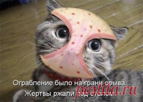 uh.ru | немного юмора