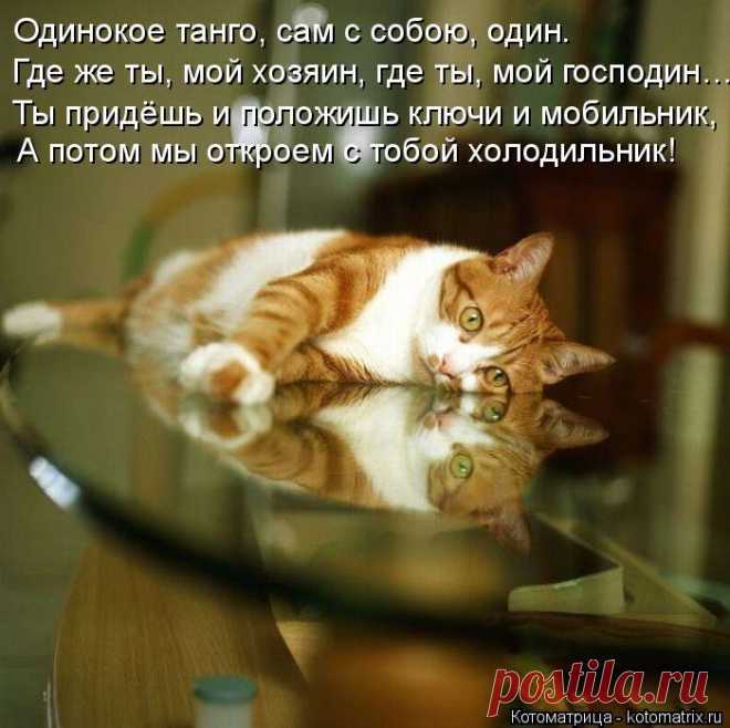 м