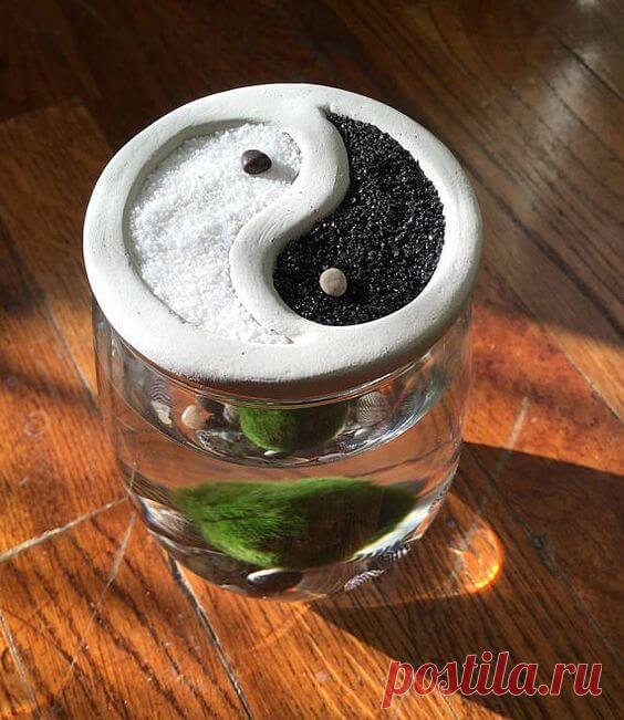 Миниатюрный аквариум как элемент декора ~ Planetalsad