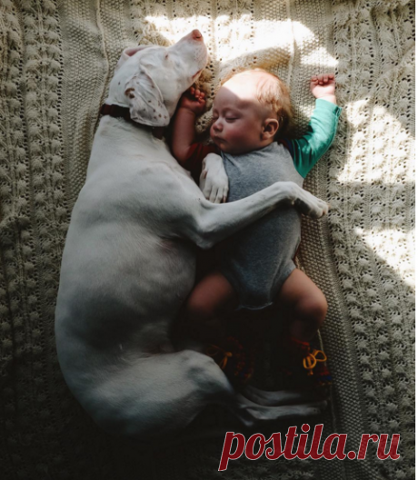 Elizabeth в Instagram: «Mama Nora and her pup in the still of the warm, afternoon light 😍»