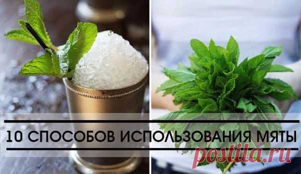 10 СПОСОБОВ ИСПОЛЬЗОВАНИЯ МЯТЫ | Женский журнал
