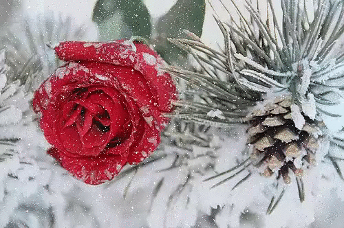 (3) Мой Мир@Mail.Ru