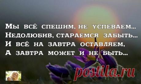 #высказывания #фразы #цитаты