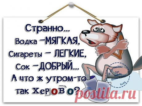 УЛЫБНЁМСЯ...))) СБОРНАЯ СОЛЯНКА
