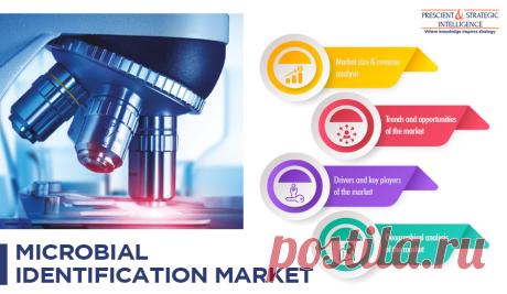 The global microbial identification market reached a valuation of $951.8 million in 2015 and is predicted to generate a revenue of $1,400.0 million by 2022. Furthermore, the market is predicted to demonstrate a CAGR of 6.0% between 2016 and 2022.