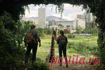 HBO назвала приоритетные проекты на фоне окончания забастовки сценаристов США. После окончания забастовки Гильдии сценаристов США киностудия HBO решила сосредоточиться на съемках продолжений самых популярных шоу. Отмечается, что в следующем году студия хочет сосредоточиться на уже существующих и пользующихся популярностью проектах — будут произведены новые эпизоды «Эйфории» и «Одни из нас».