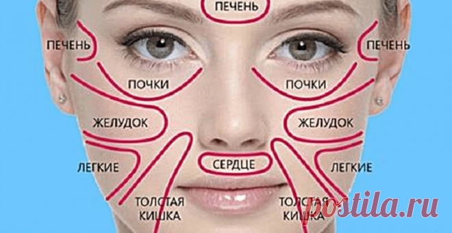 «Карта лица» по-китайски точно укажет на скрытую угрозу для вашего здоровья - Все самое интересное! Китайская медицина одна из самых занятных. Специалисты считают, что организм человека строится...