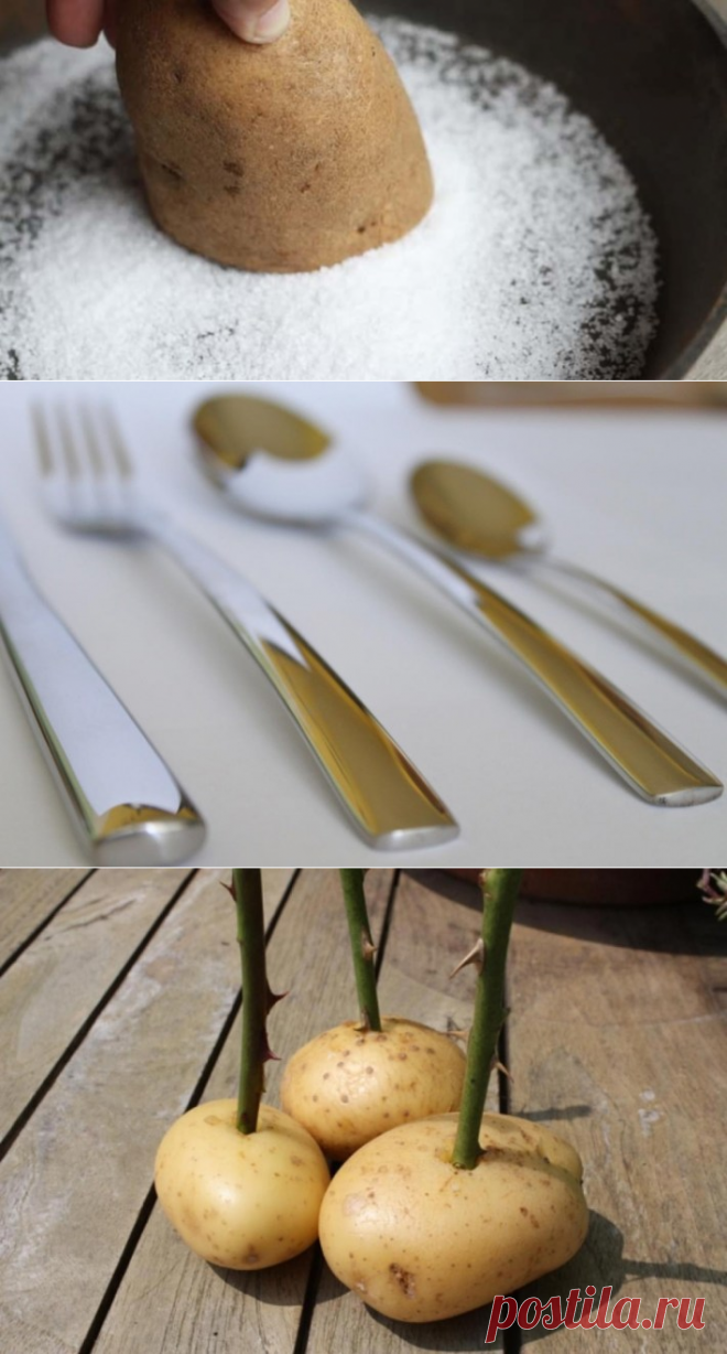 НЕОБЫЧНЫЕ СПОСОБЫ ИСПОЛЬЗОВАНИЯ КАРТОФЕЛЯ