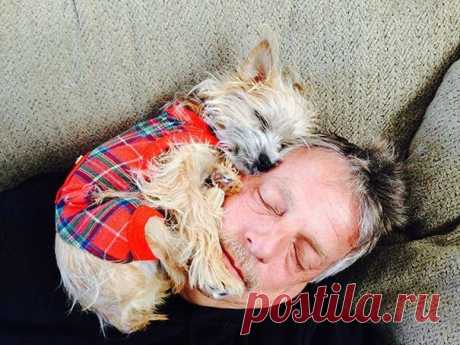 25 собак, которые плевать хотели на твоё личное пространство / Питомцы