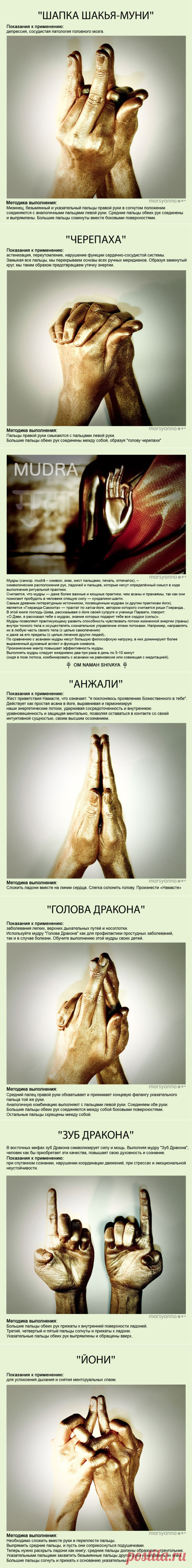 Много | Константин Ждановских | Фотографии и советы на Постиле