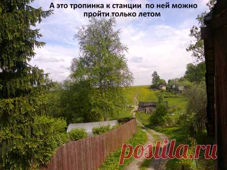 здесь Таня ходит на прогулку с собакой...   наш проспект...