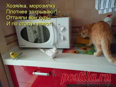 КУХОННЫЙ ЮМОР 2.(ПРОЩЕ ЖИВИТЕ).