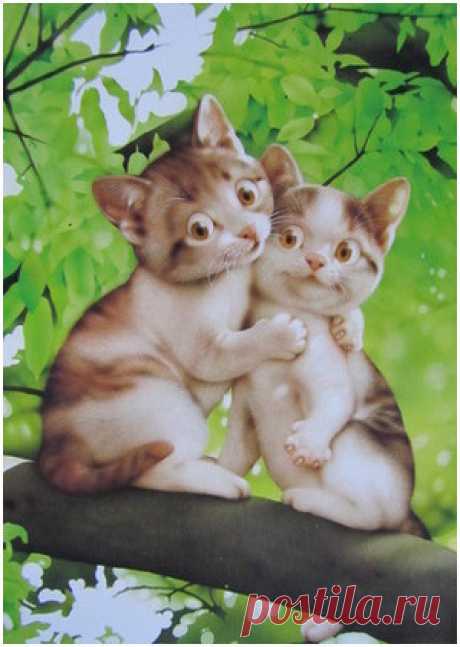 Мой Мир@Mail.Ru