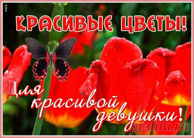 Открытка с цветами для девушки