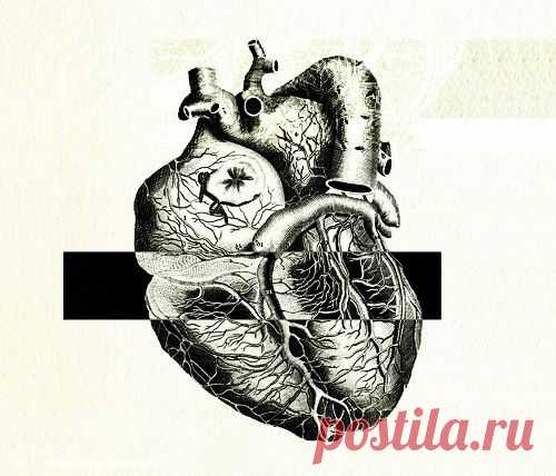 Превентивная кардиология.  7 фактов о предотвращении сердечно-сосудистых заболеваний