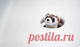 Берегите природу