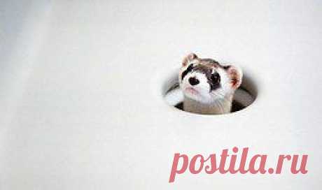 Берегите природу