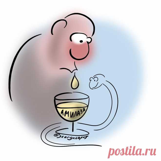 Почему повышается амилаза в крови