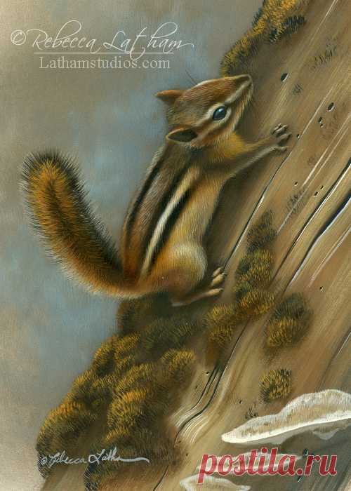 Happy New Year and Peek in the Studio – Jan 1, 2014 | Paintings of Wildlife & Nature by Rebecca Latham