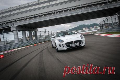 Дети сделали подкоп из садика, чтобы «купить Jaguar»