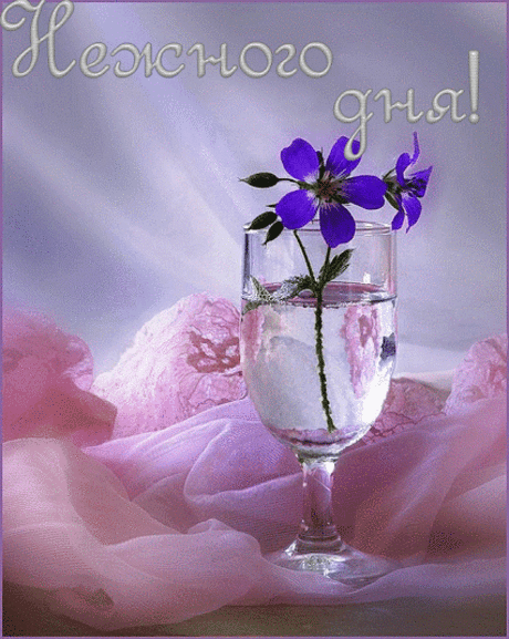 (+1) тема - Живая планета! | УДИВИТЕЛЬНОЕ