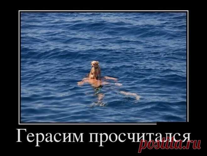 Демотиваторы / Приколы