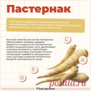 Пастернак польза