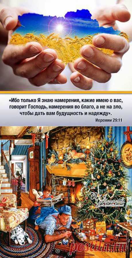 Новости