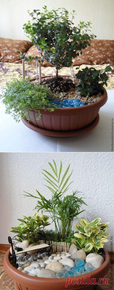 Самодельный миниатюрный сад