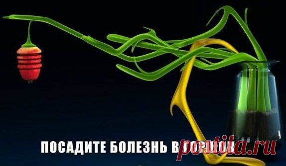 Посадить болезнь в горшок — потрясающее исцеление | thePO.ST