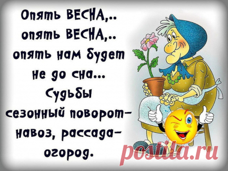 (6) Одноклассники