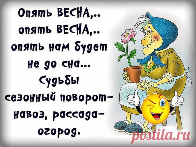 (6) Одноклассники