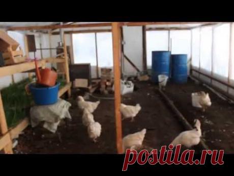 Минус 40!!! Теплица в морозы.