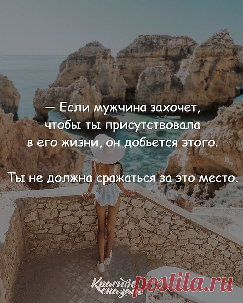 2751891378.jpg (480×600)