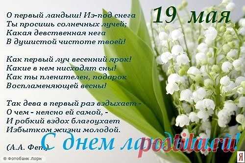 (34) Одноклассники