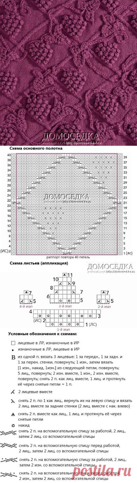 Виноградная лоза | ДОМОСЕДКА