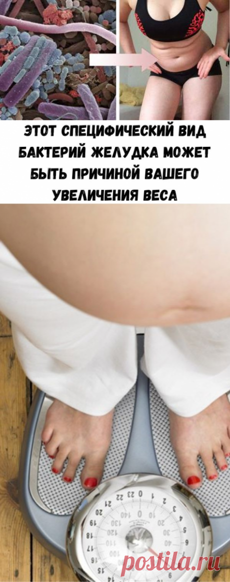 Этот специфический вид бактерий желудка может быть причиной вашего увеличения веса - Счастливые заметки