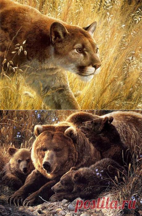 Бельгийский художник-анималист Carl Brenders