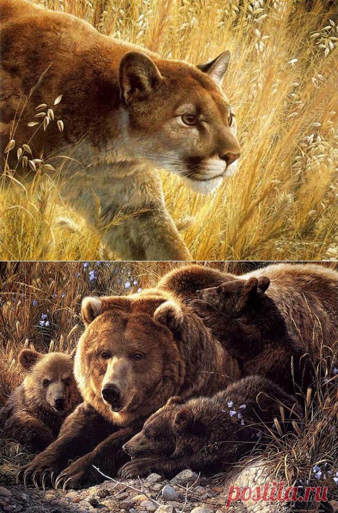 Бельгийский художник-анималист Carl Brenders