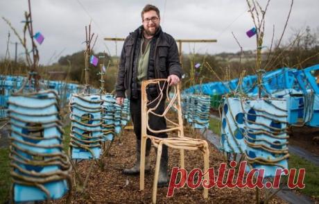 Ферма &quot;живых стульев&quot; (трафик) / Мебель / ВТОРАЯ УЛИЦА