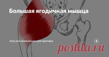 Большая ягодичная мышца Статья автора «Йога для начинающих для здоровья» в Дзене ✍: Боль в большой ягодичной мышце: источник дискомфорта и ограничений Боль в большой ягодичной мышце, часто сопровождающаяся развитием...