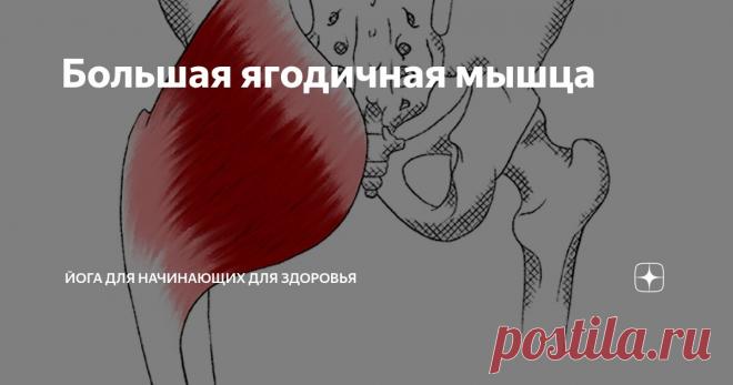 Большая ягодичная мышца Статья автора «Йога для начинающих для здоровья» в Дзене ✍:  Боль в большой ягодичной мышце: источник дискомфорта и ограничений Боль в большой ягодичной мышце, часто сопровождающаяся развитием...