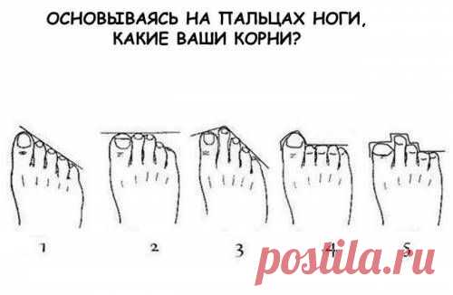 Выбери свой Вариант ответа и узнай результат!