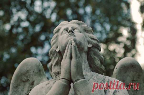 Князь Петр Андреевич Вяземский Молитва Господи! Избави мене всякого неведения и забвения, и малодушия, и окамененного нечувствия. Господи! Даждь ми слезы и память смертну и умиление... Из молитвы Иоанна Златоустого Бывают дни, когда молиться так легко, Что будто на душу молитвы сходят сами, Иль Ангел, словно мать младенцу на ушко: