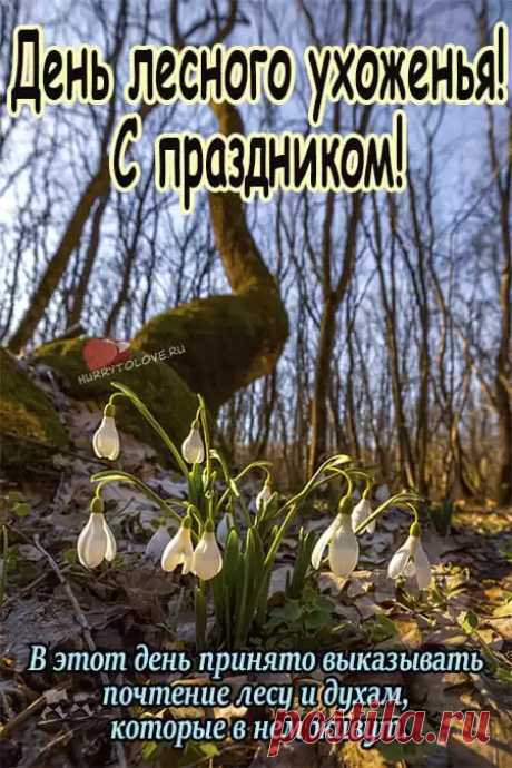 Александров день. На Лесное ухоженье проводили ритуалы, мастерили обереги и снимали порчу.