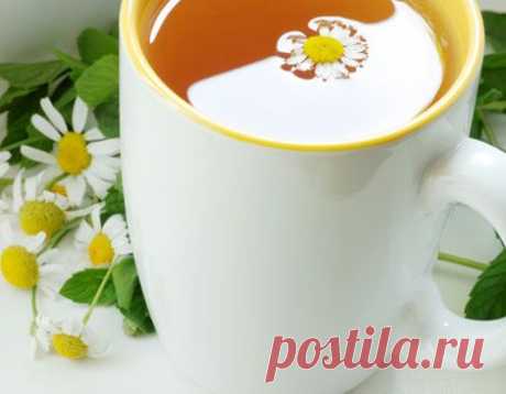 Чем полезен ромашковый чай? | Искусство быть женщиной