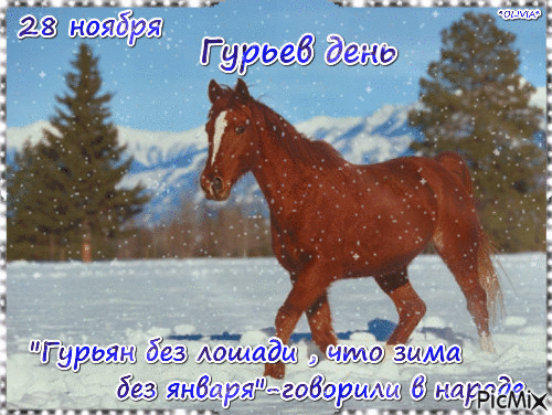 Да сохранит вас Господь от всех бед и напастей, и укрепит в вере и любви. Открытки на Гурьев день!