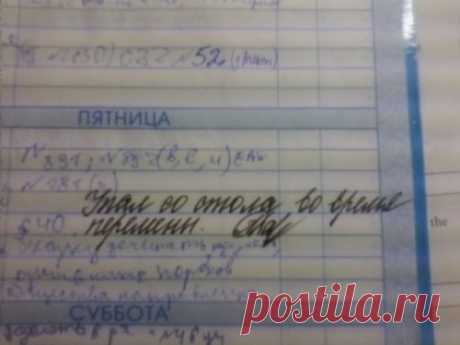 Смешные записи в школьных дневниках