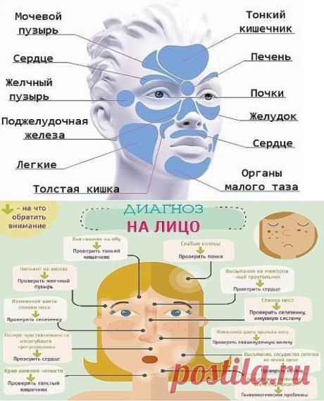 (50) Одноклассники
